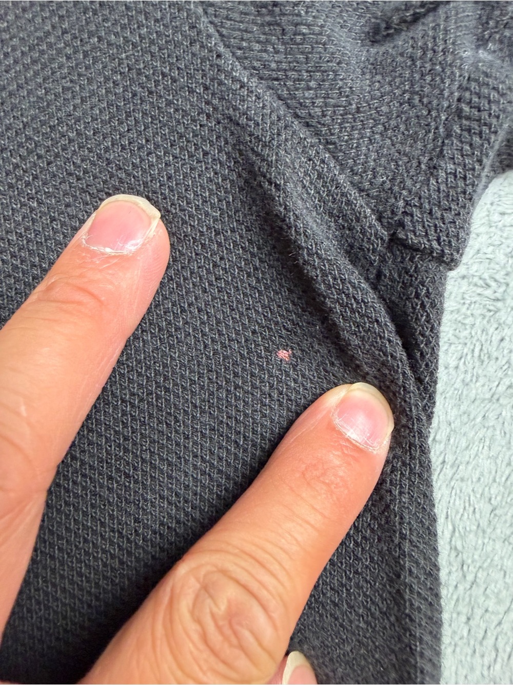 Polo by Ralph Lauren Black Polo Shirt with Red Trim - Picture 4 of 5